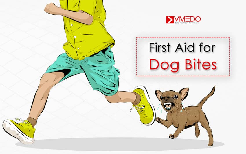 First Aid for Dog Bites -