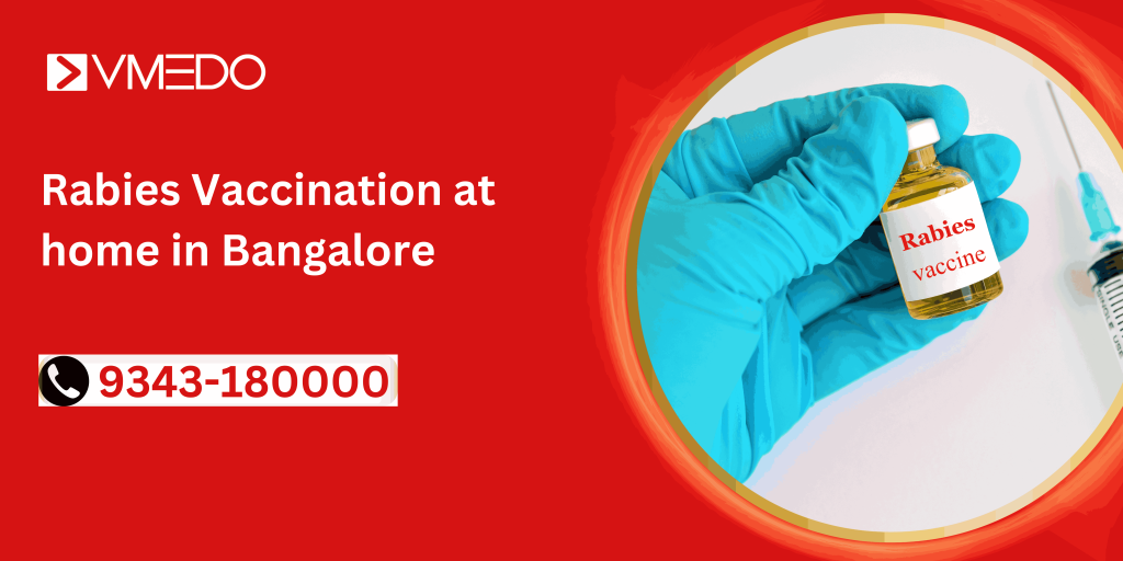 Rabies vaccination at home in Bangalore