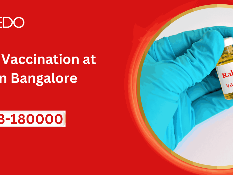 Rabies vaccination at home in Bangalore