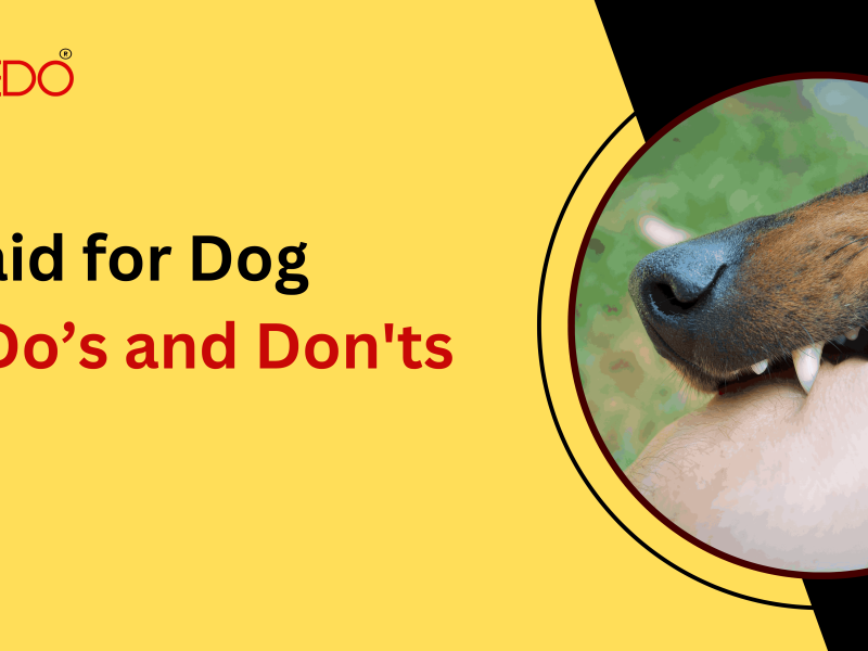 First aid for Dog bite: Do’s and Don'ts