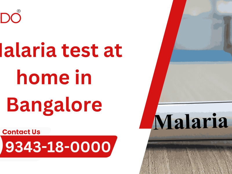 Malaria Test at Home in Bengaluru