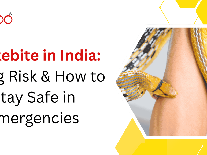 Snakebite in India: Rising Risk & How to Stay Safe in Emergencies