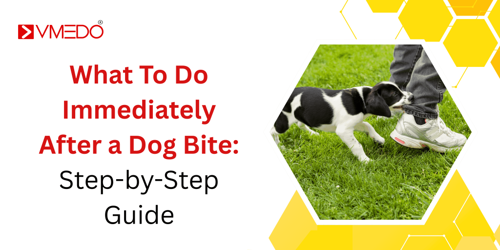 What To Do Immediately After a Dog Bite: Step-by-Step Guide