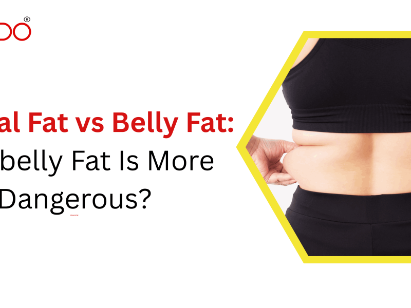 Visceral Fat vs Belly Fat: Why belly Fat Is More Dangerous?