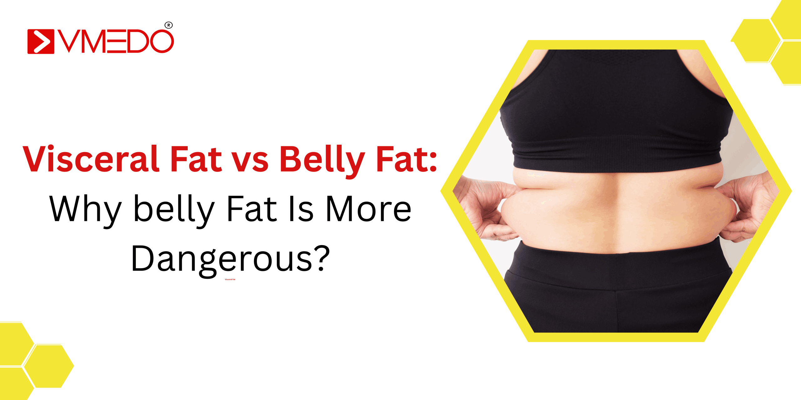 Visceral Fat vs Belly Fat: Why belly Fat Is More Dangerous?