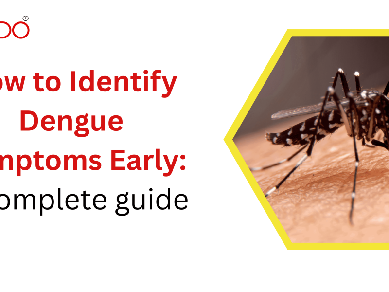 How to Identify Dengue Symptoms Early: A complete guide