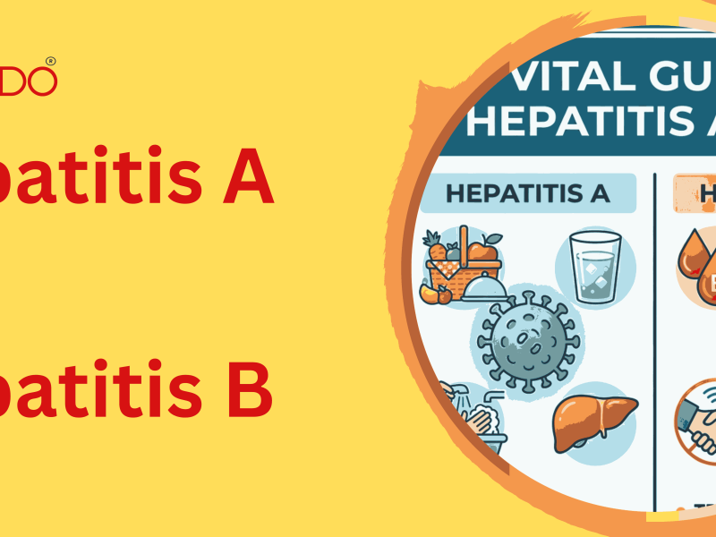 Infographic comparing Hepatitis A and Hepatitis B transmission, vaccine schedules, and workplace risks for employees