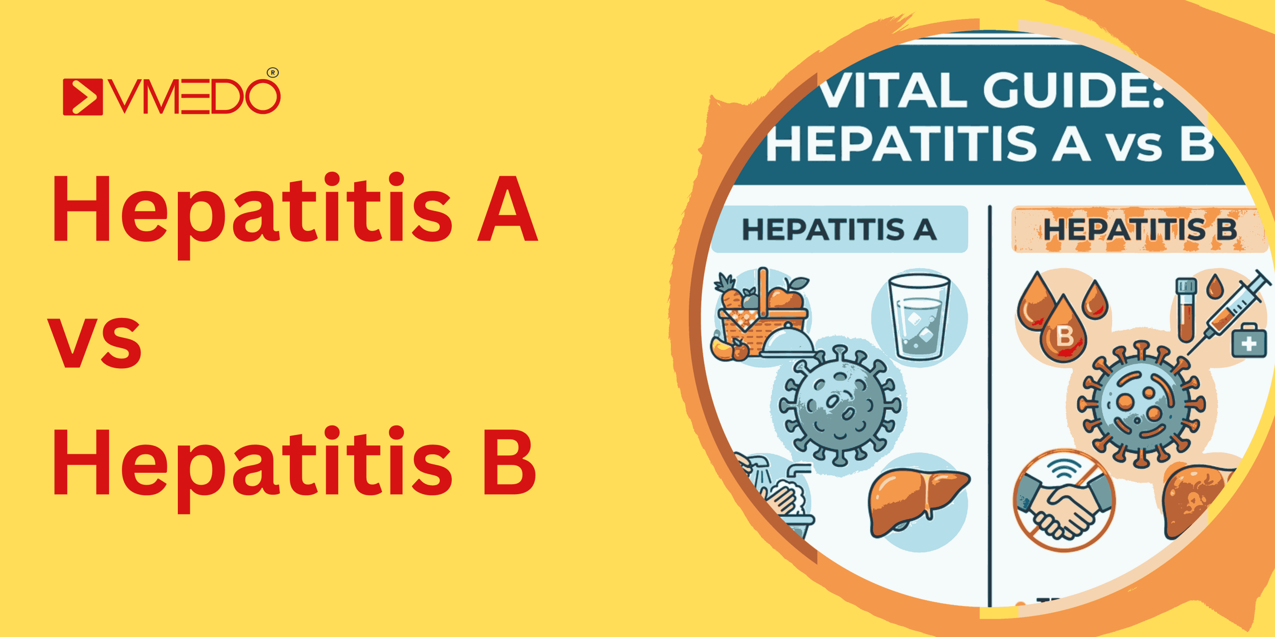 Infographic comparing Hepatitis A and Hepatitis B transmission, vaccine schedules, and workplace risks for employees